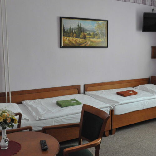 Quadruple Room with Shower and Shared Kitchenette