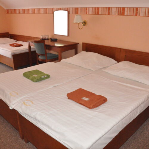 Triple Room with Shower and Shared Kitchenette