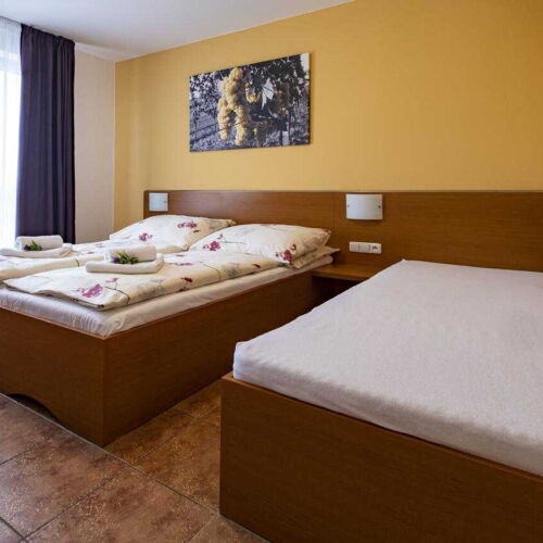 Pokoj se sprchou s balkónem pro 3 os.