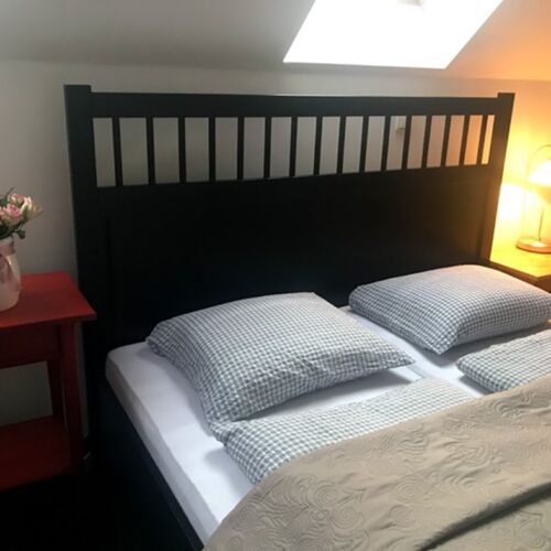 Standard Pokoj se sprchou pro 2 os.