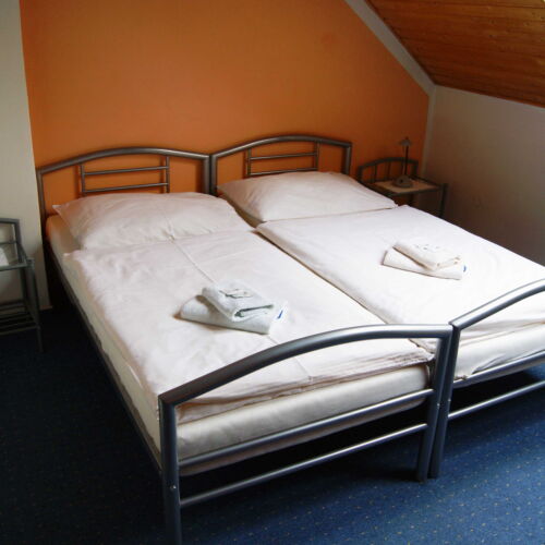 Twin Room with Shower (extra bed available)