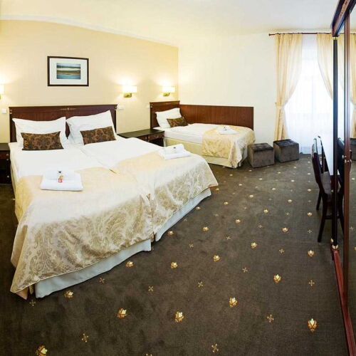 Pokoj se sprchou  pro 3 os.