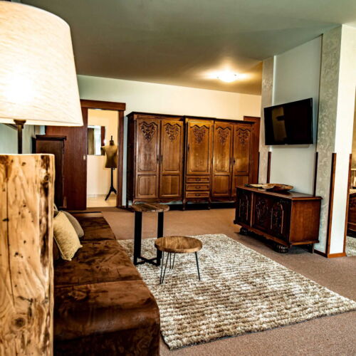 1-Room Apartment for 2 Persons with Shower and Terrace (extra beds available)