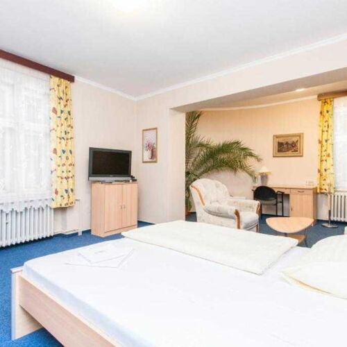 Pokoj se sprchou  pro 1 os.