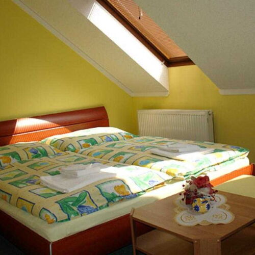 Pokoj se sprchou  s manželskou postelí