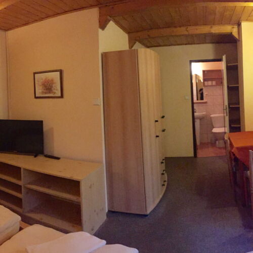 Pokoj se sprchou  s manželskou postelí