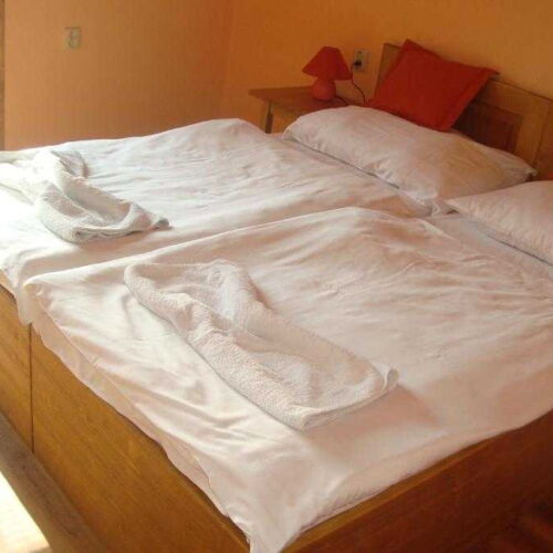 Pokoj se sprchou  s manželskou postelí