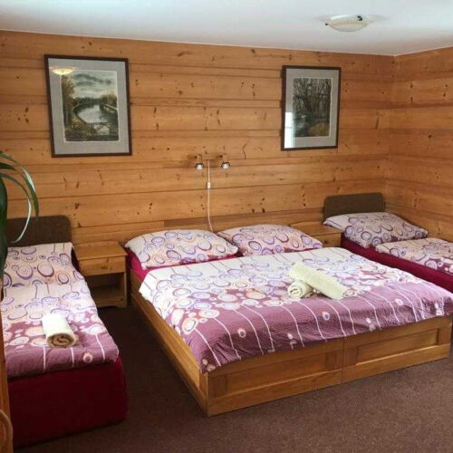 Pokoj se sprchou  pro 2 os. (s možností přistýlky)