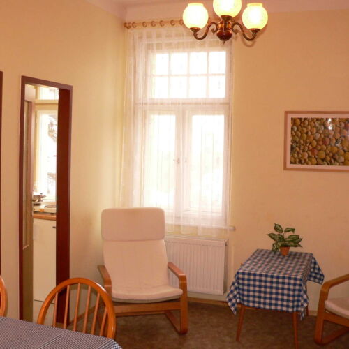 Apartament cu duș cu chicinetă proprie cu 1 camera pentru 3 pers. (se poate solicita pat suplimentar)