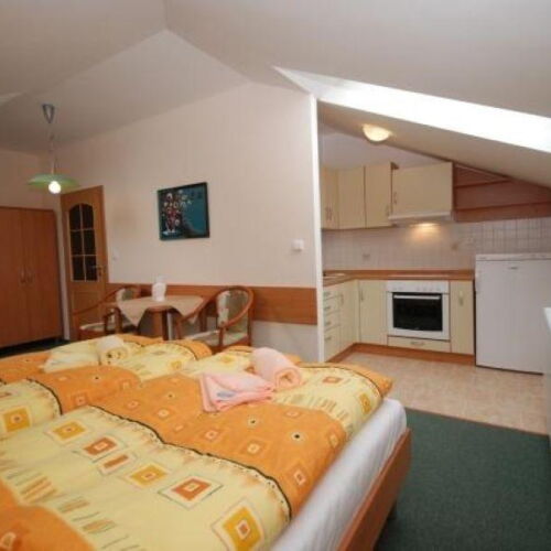 Studio  Apartman s manželskou postelí s 1 ložnicí (s možností přistýlky)