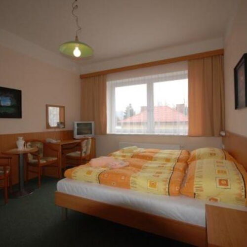 Pokoj se sprchou  s manželskou postelí (s možností přistýlky)