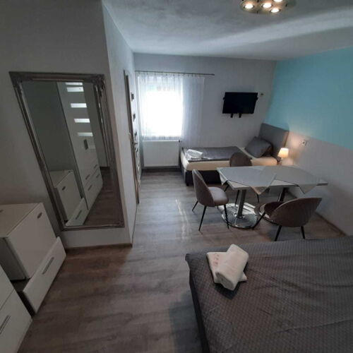 Camera tripla cu duș