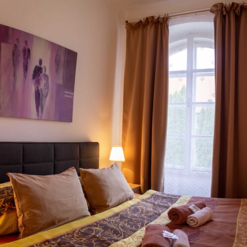 Standard Pokoj se sprchou s manželskou postelí