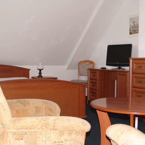 Pokoj se sprchou  pro 4 os.