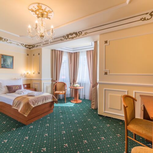 Superior Pokoj se sprchou pro 1 os.