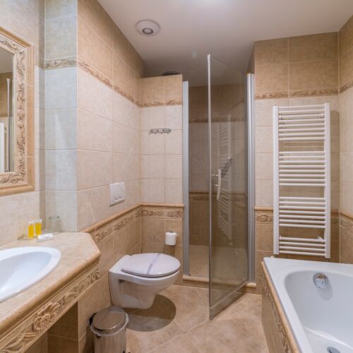 Superior Pokoj se sprchou pro 2 os.