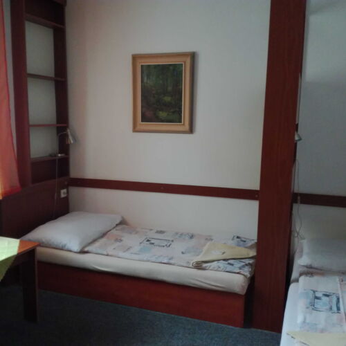 Pokoj se sprchou  pro 2 os.