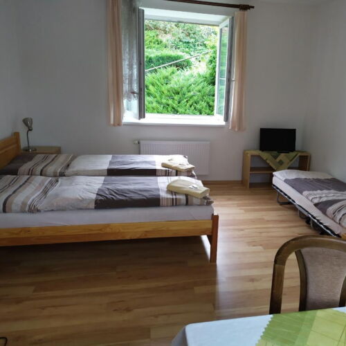 Pokoj se sprchou  pro 2 os. (s možností přistýlky)