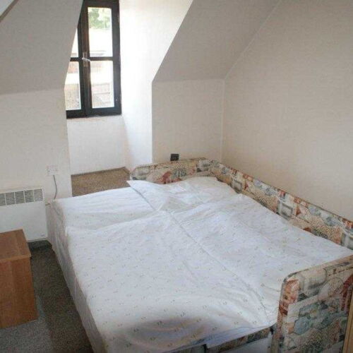 Camera twin cu duș (se poate solicita pat suplimentar)