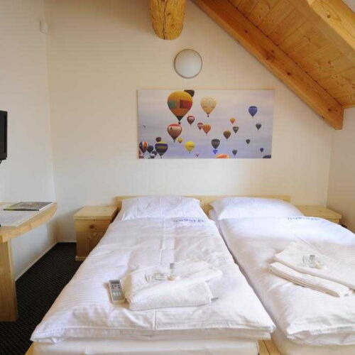 Pokoj s klimatizací se sprchou s manželskou postelí