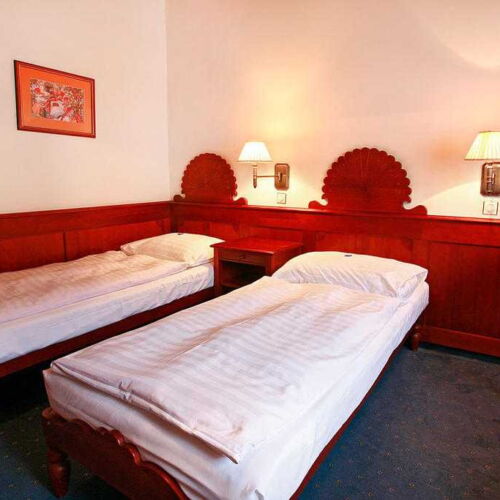 Superior Pokoj se sprchou pro 2 os.