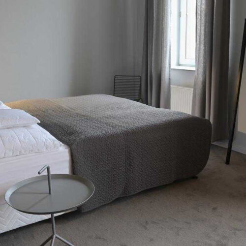 Pokoj s koupelnou se sprchou s manželskou postelí