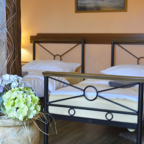 Camera twin la mansardă cu duș (se poate solicita pat suplimentar)