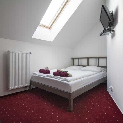 Standard Pokoj se sprchou s manželskou postelí