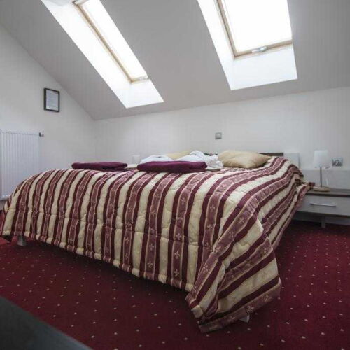 Komfort Pokoj se sprchou s manželskou postelí (s možností přistýlky)