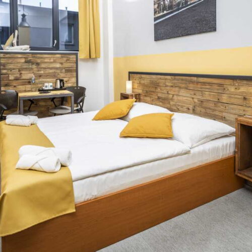 Standard Plus Twin Room with Shower