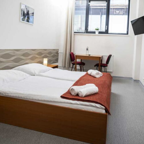 Standard Twin Room with Shower