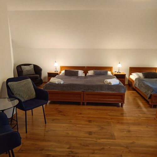 Camera tripla cu duș (se poate solicita pat suplimentar)