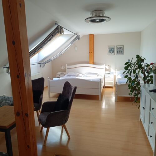 Apartament cu chicinetă proprie pentru 5 pers. (se poate solicita pat suplimentar)