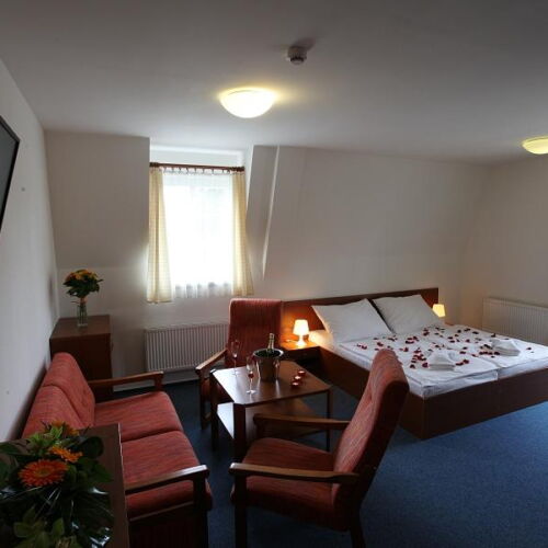 Pokoj se sprchou  pro 2 os. (s možností přistýlky)