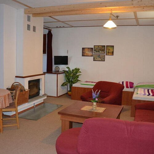 Apartman se sprchou s vlastní kuchyňkou pro 4 os. s 1 ložnicí
