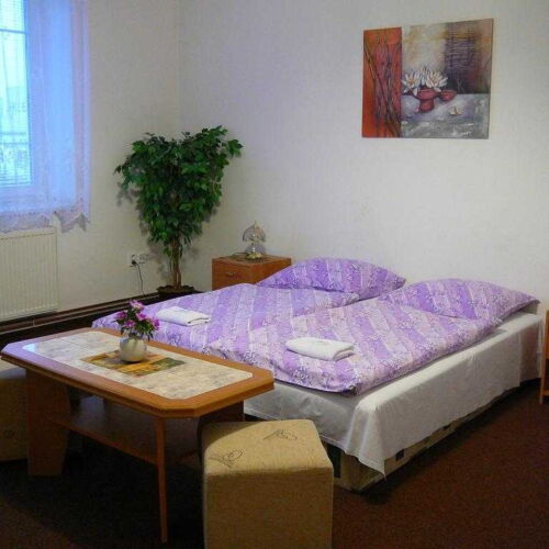 Pokoj se sprchou  pro 2 os.