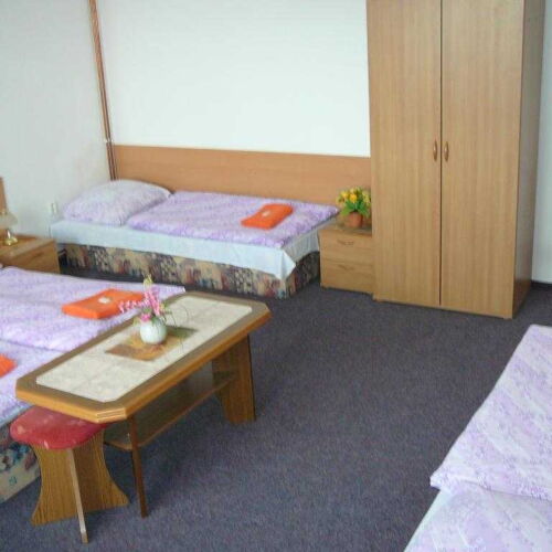 Pokoj se sprchou  pro 4 os.