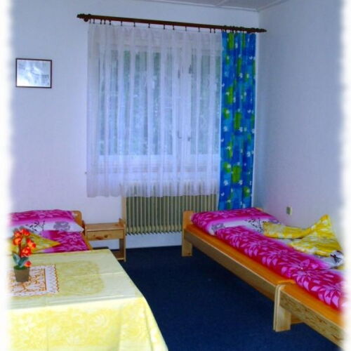 Pokoj se sprchou  pro 2 os.