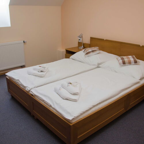 Standard Pokoj se sprchou pro 2 os.