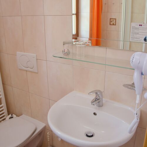 Business Pokoj se sprchou pro 2 os.