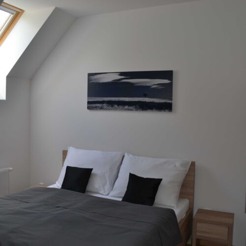 Studio Pokoj s vlastní kuchyňkou s manželskou postelí (s možností přistýlky)