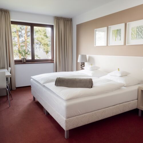 Deluxe Twin Room with Shower