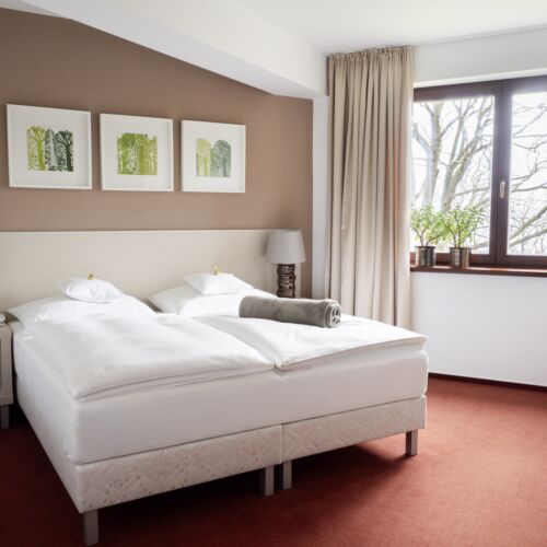 Deluxe Barrier Free Double Room