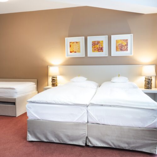 Deluxe Twin Room with Shower (extra beds available)