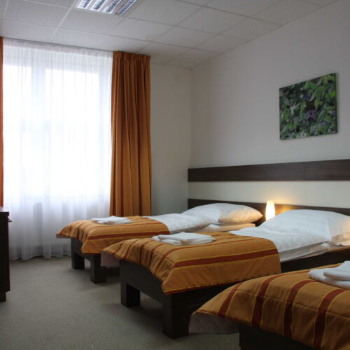 Pokój 3-osobowy z prysznicem