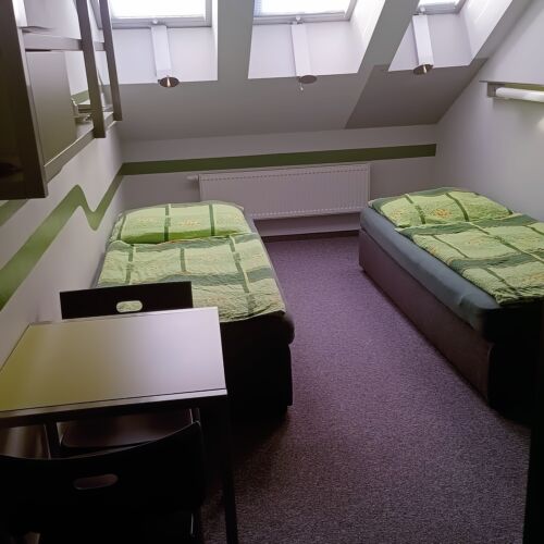 Twin Pokoj se sprchou pro 2 os.