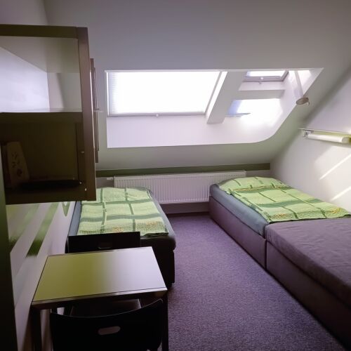 Twin Pokoj se sprchou pro 3 os.