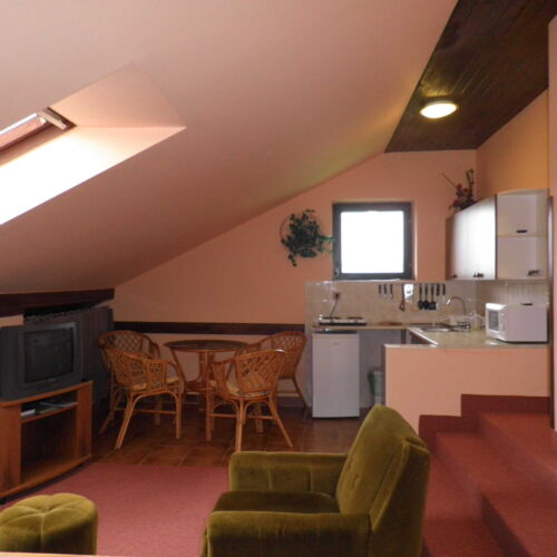 Pokoj se sprchou s vlastní kuchyňkou pro 4 os. (s možností přistýlky)