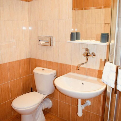 Camera twin classic cu duș