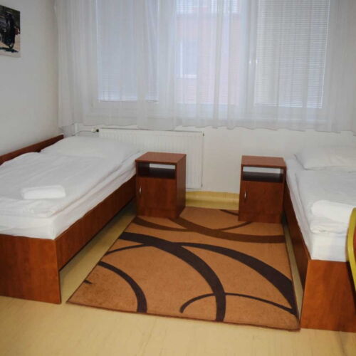 Camera twin classic cu duș